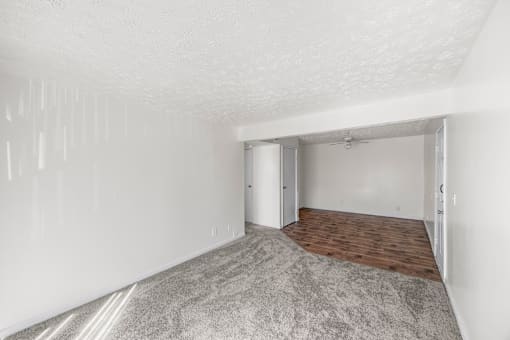 A room with a grey carpet and white walls.