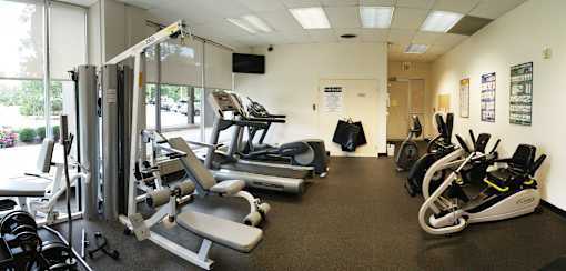 A gym with a variety of equipment including treadmills, weight machines, and free weights.
