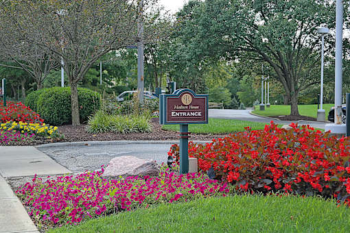 A sign that says entrance in front of a field of flowers.