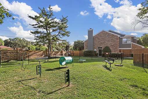 Dog park