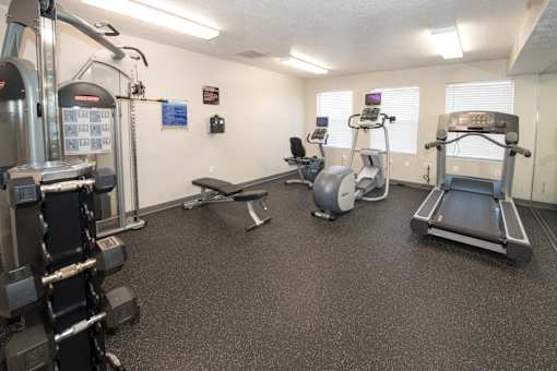 A gym with a treadmill, weights, and exercise equipment.