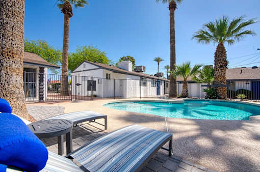 A pool surrounded by palm trees and a metal fence.