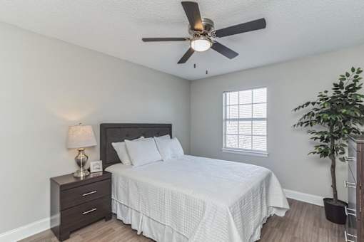 A bedroom with a bed, nightstand, and a plant.