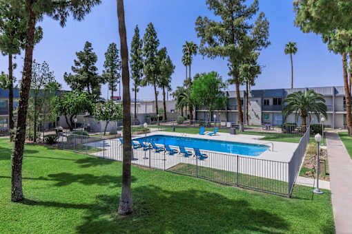 A pool surrounded by trees and a fence.