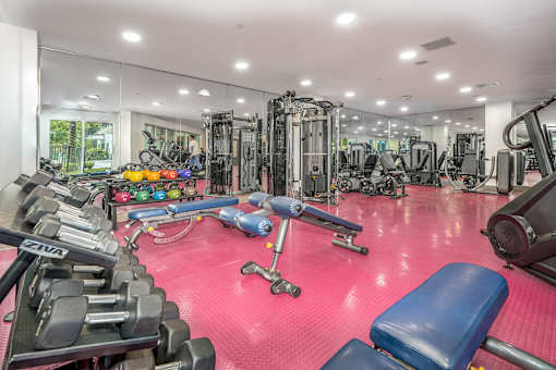 A well-equipped gym with a variety of exercise machines and weights.
