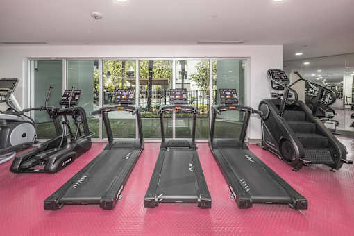 A gym with treadmills and elliptical machines.