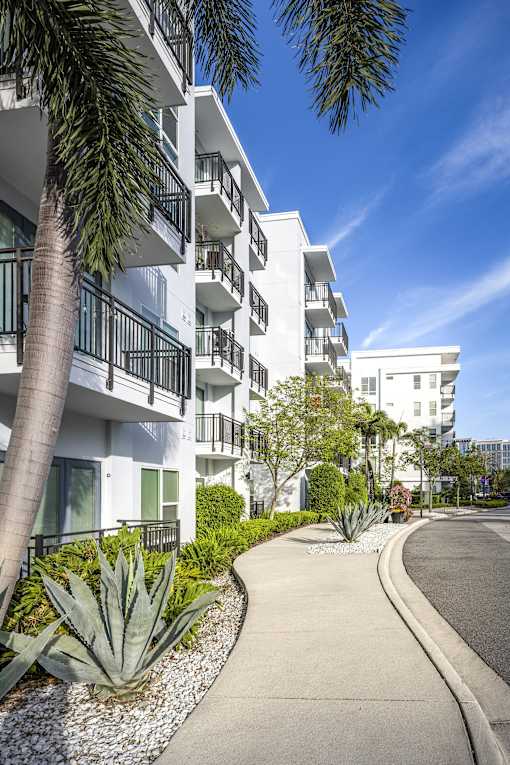 A white apartment building with a palm tree in front.