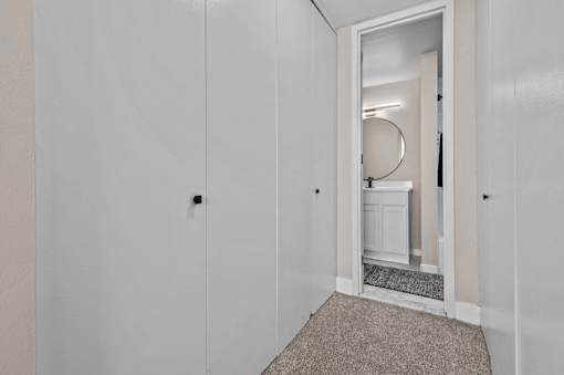 A white closet with a mirror and a carpeted floor.