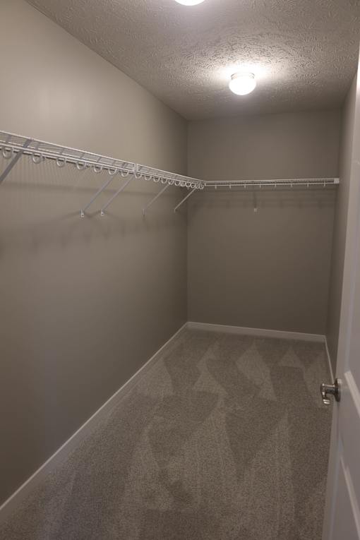 A walk-in closet with a carpeted floor and a white door.