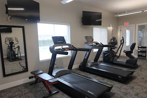 A gym with treadmills, elliptical machines, and a mirror.
