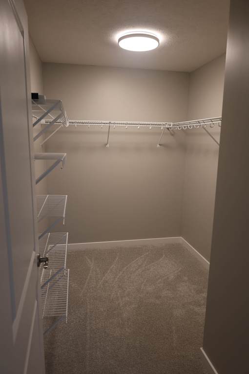 A walk-in closet with shelves and a carpeted floor.