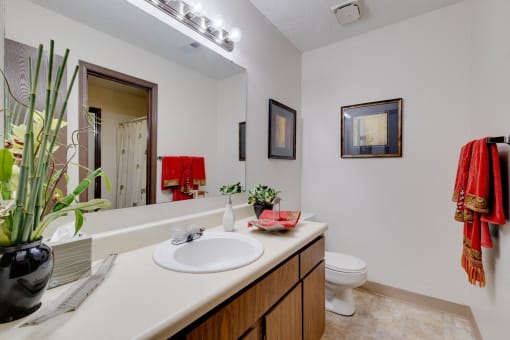 Regency Woods Model Unit - Bathroom View of a bathroom in a Regency Woods model unit with a white toilet, sink, and mirror.