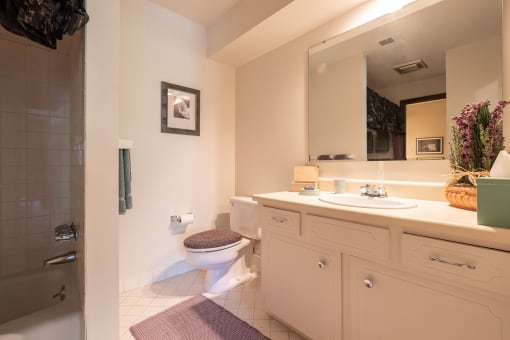 A well-lit bathroom in a two-bedroom apartment at Regent’s Walk Apartment Homes, featuring a sink, mirror, and shower.