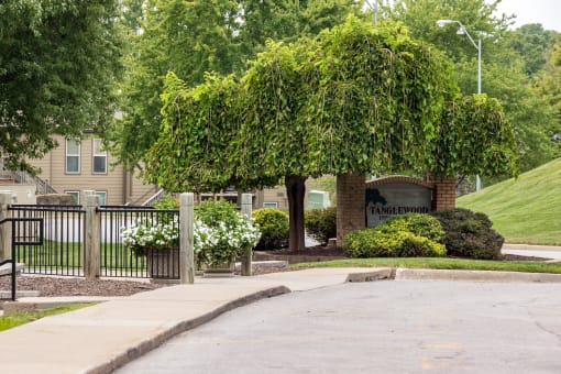 The Tanglewood Clubhouse (Leasing Office) features beautiful landscaping, including a mature tree planted on the side of the sidewalk.