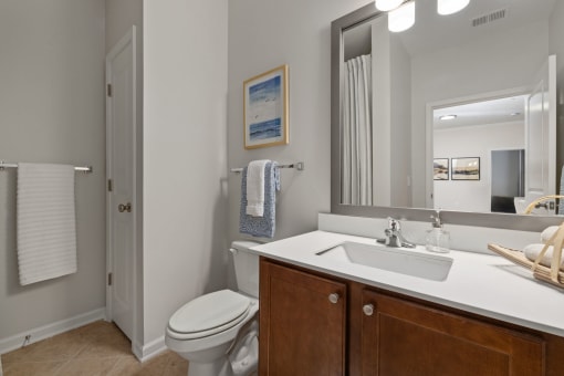 a bathroom with a sink and a toilet and a mirror