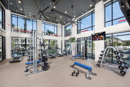 gym
