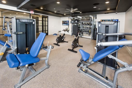 gym