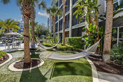 a courtyard with hammocks and grass and palm trees