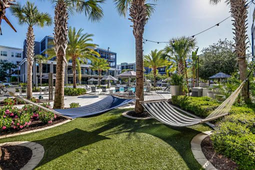 a garden with hammocks and palm trees