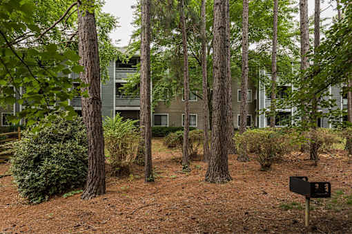 A black mailbox is in the foreground of a residential area with trees and a building in the background.