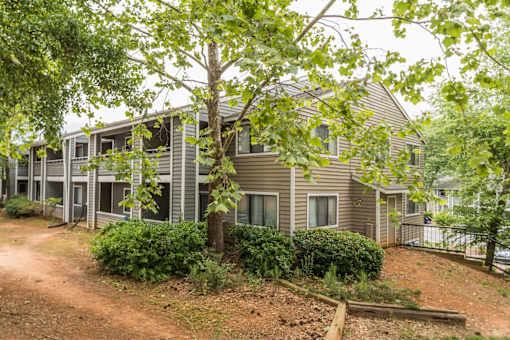 A tree in front of a building with a brown dirt path.