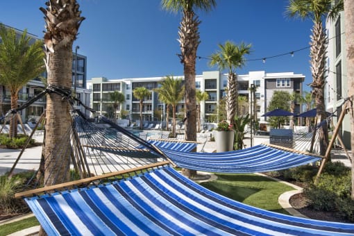 pool hammock