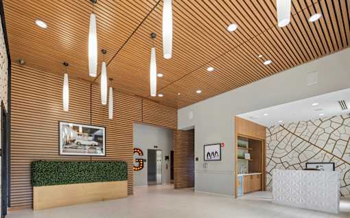 A reception area with a white reception desk and a green plant on the counter.