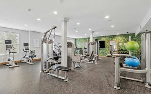 A gym with a variety of equipment including a leg press machine, a chest press machine, a leg curl machine, a leg extension machine, a seated calf raise machine, a leg raise machine, a chest press machine, a