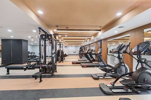 A gym with treadmills, elliptical machines, and a bench press.
