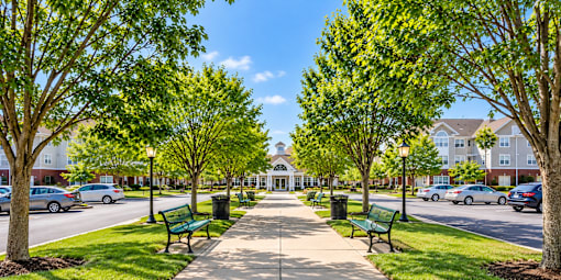 A tree-lined street with benches and cars parked on the side.