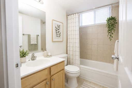 A bathroom with a toilet, sink, and shower.