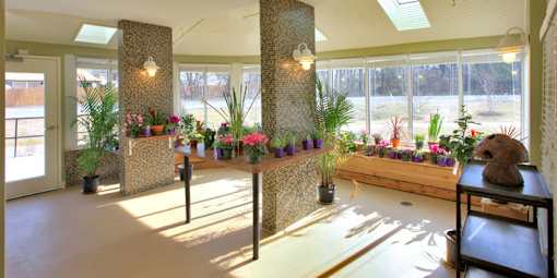 Greenhouse at Hammarlee House Apartments, Maryland