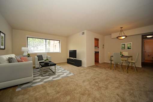 A living room with a white couch and a grey rug.