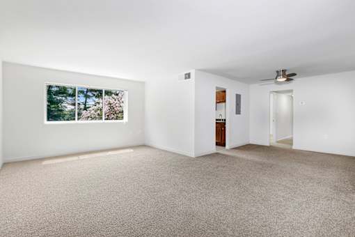 A room with a carpeted floor and a ceiling fan.