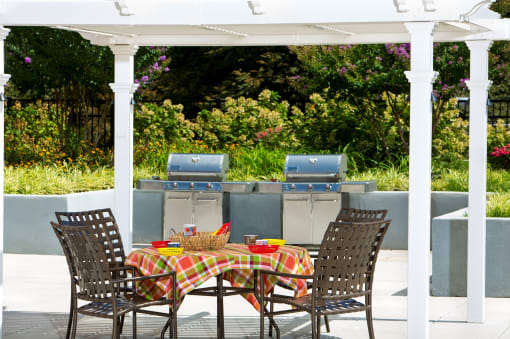 outdoor grilling and barbecue area at Colesville Towers Apartments, Silver Spring, MD 20910