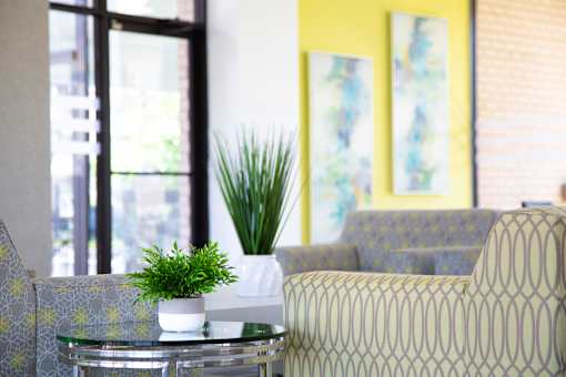 A potted plant sits on a glass table between two patterned chairs.