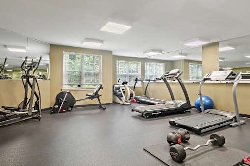 A gym with treadmills, elliptical machines, and weights.
