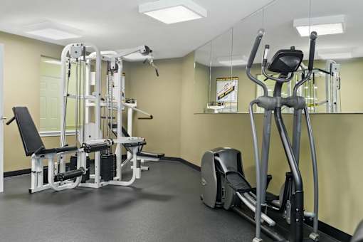 A gym with a treadmill, a weight bench and a mirror.