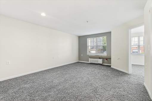 A large, empty room with a grey carpet and a window.