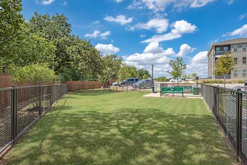 A green lawn with a fence and a building in the background.