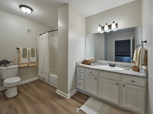a bathroom with a sink and a toilet and a shower