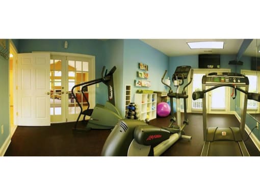 a home gym with a treadmill and exercise balls at Chesterfieldfield Garden Apartments, Chesterfield, Virginia
