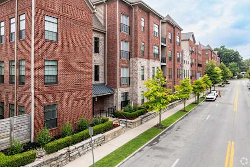 A row of red brick apartment buildings line a tree-lined street.
