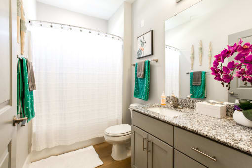Walk-In Showers And Garden Tubs at Century Park Place Apartments, Morrisville