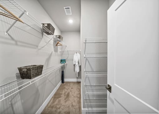 The Laney Apartments-Walk in Closet