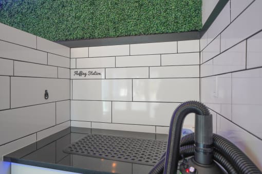a kitchen sink with a black hose coming out of it and a green wall above it