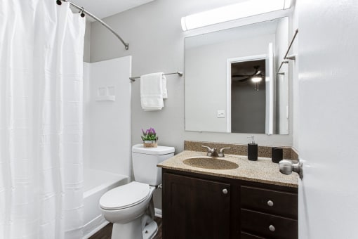 a bathroom with a sink toilet and a mirror at Magnolia Place at Stockbridge Apartments, Georgia
