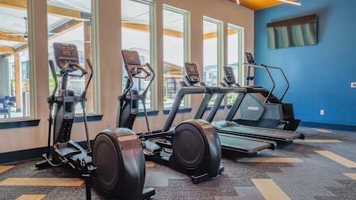 A row of elliptical machines are lined up in a gym.