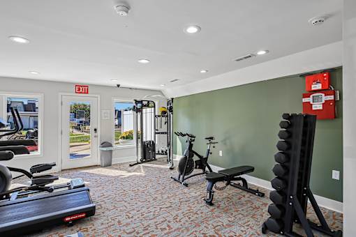 A gym with a treadmill, exercise bike, and weights.