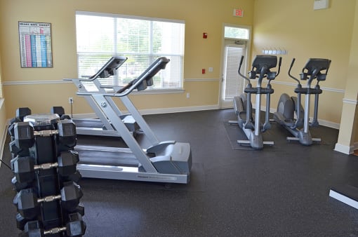 Gym equipment with cardio machines at the Haven at Market Street Station Johnson City, TN